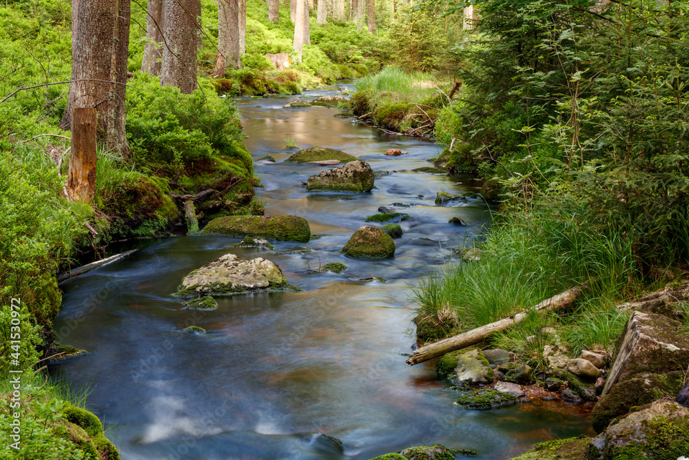 Fichtelgebirge Weissmainpfad, frühsommerlicher Gebirgsbach Fichtelgebirge Weissmainpfad, frühsommerlicher Gebirgsbach
