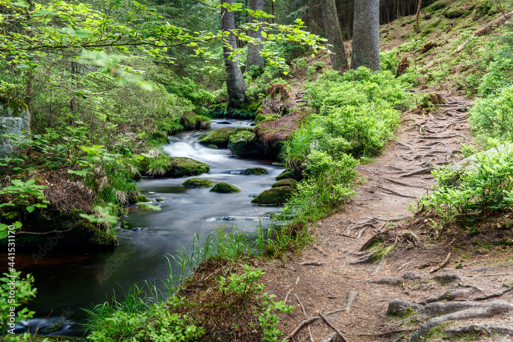 Fichtelgebirge Weissmainpfad, frühsommerlicher Gebirgsbach Fichtelgebirge Weissmainpfad, frühsommerlicher Gebirgsbach