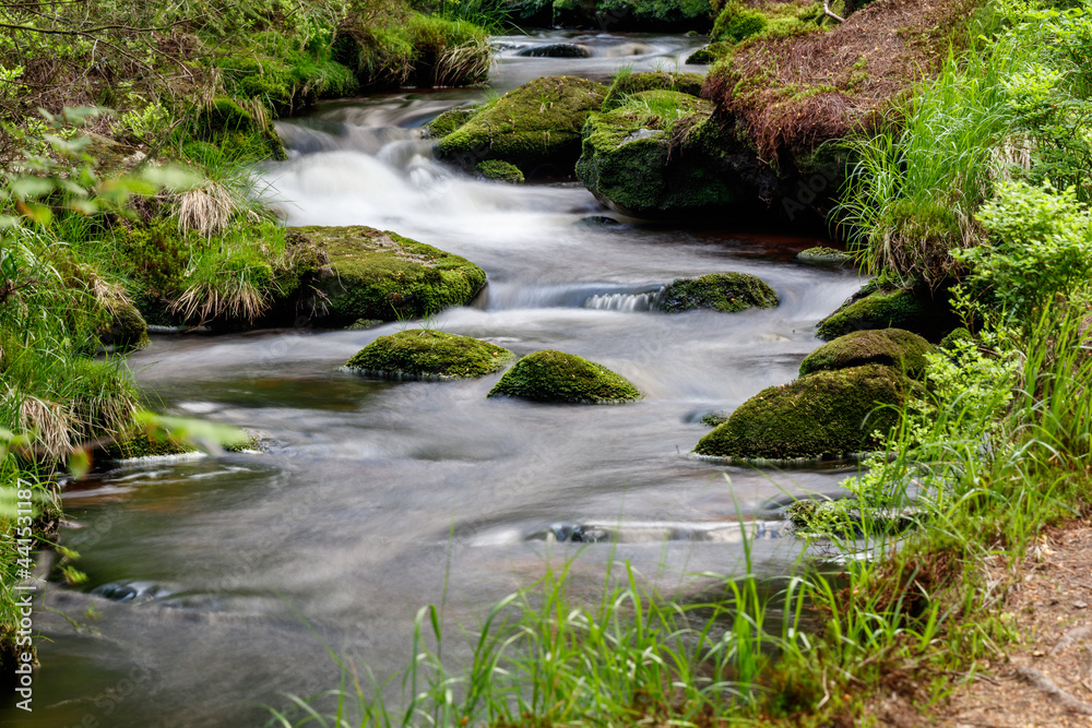 Fichtelgebirge Weissmainpfad, frühsommerlicher Gebirgsbach Fichtelgebirge Weissmainpfad, frühsommerlicher Gebirgsbach