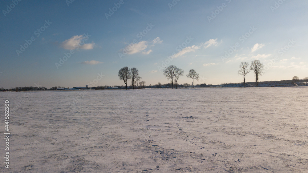 Aerial view with a drone of a spring wavy agricultural countryside landscape with plowed and unplowed fields and trees in the blue evening sky. High quality photo Aerial view with a drone of a spring wavy agricultural countryside landscape with plowed and unplowed fields and trees in the blue evening sky. High quality photo