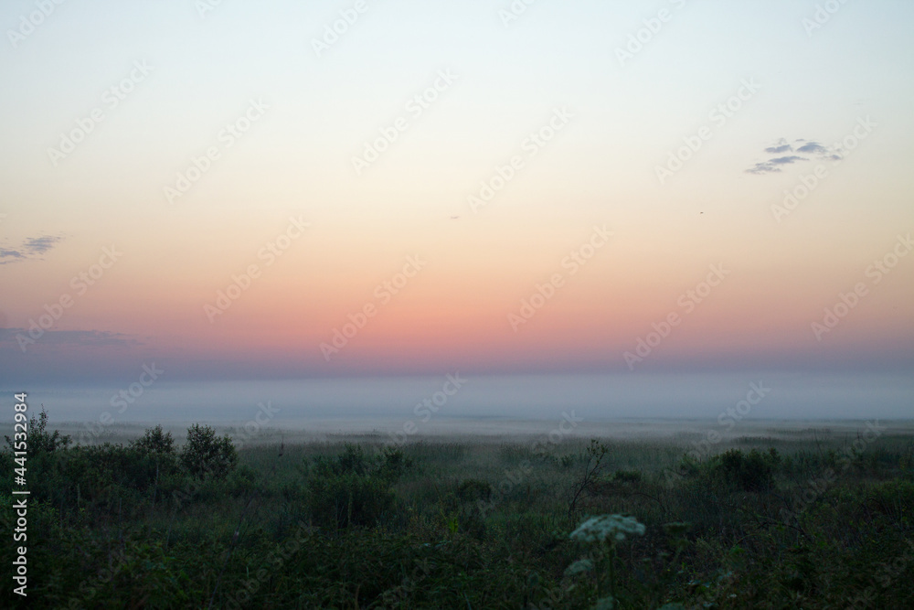Dramatic landscape - early summer morning before sunrise on the horizon and fog over the meadow