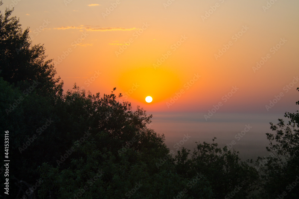 Beautiful orange sunrise from the horizon over meadows in the fog and silhouettes of trees in the early summer morning in the Moscow region in Russia Beautiful orange sunrise from the horizon over meadows in the fog and silhouettes of trees in the early summer morning in the Moscow region in Russia