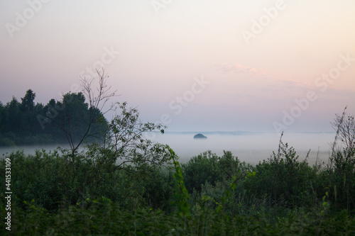 Dramatic landscape-early summer morning with dramatic gradient sky and fog over meadows and trees and space to copy