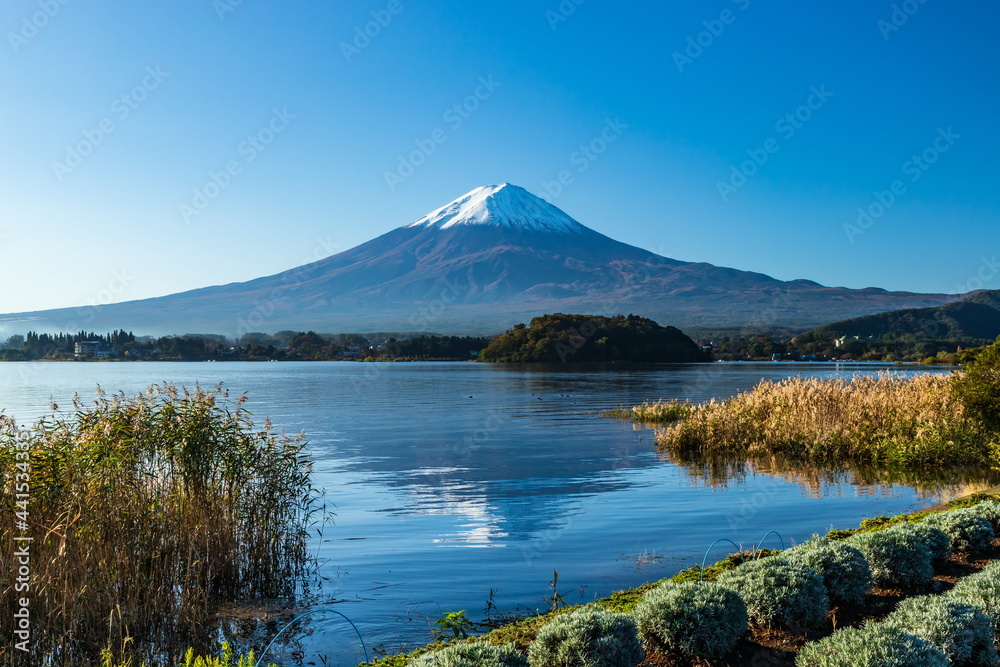 大石公園から眺める秋の富士山　山梨県河口湖にて