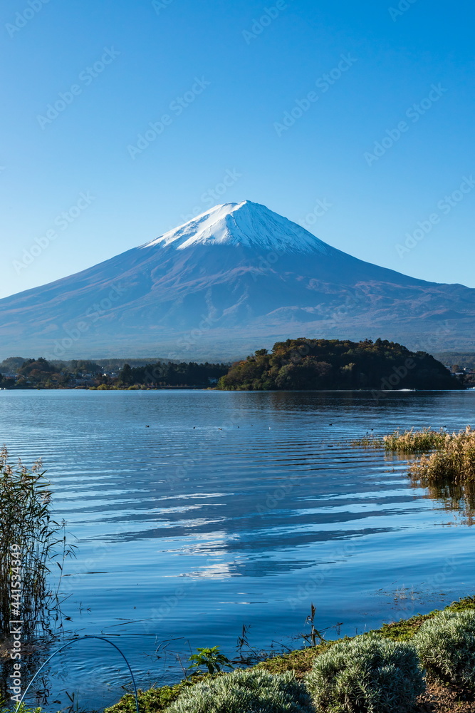 大石公園から眺める秋の富士山　山梨県河口湖にて