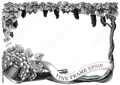 Vine frame hand draw vintage engraving style black and white clip art isolated on white background