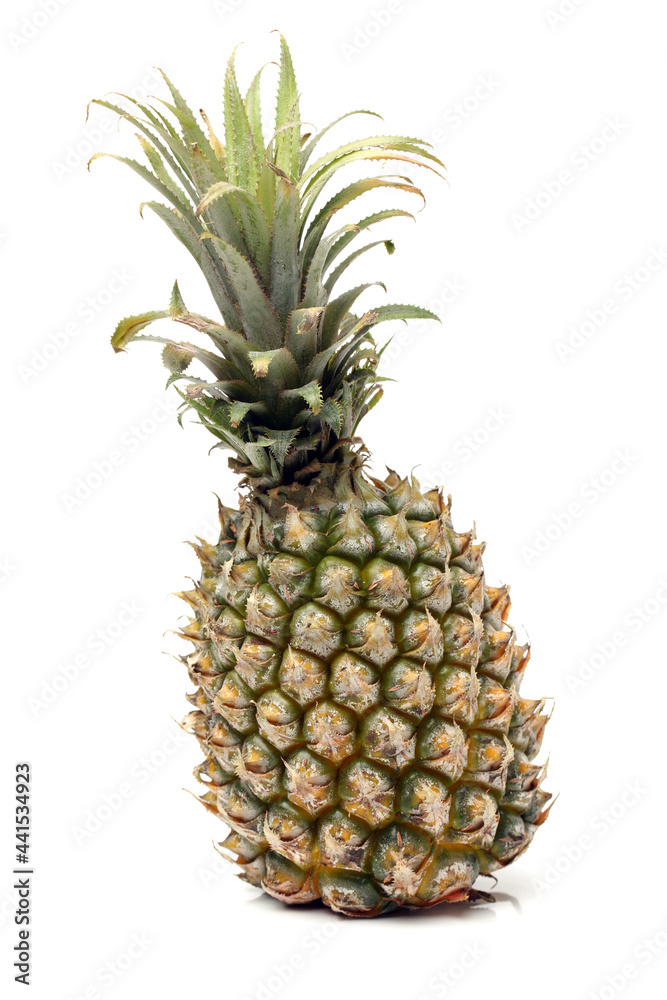 Fototapeta premium pineapple isolated on white background