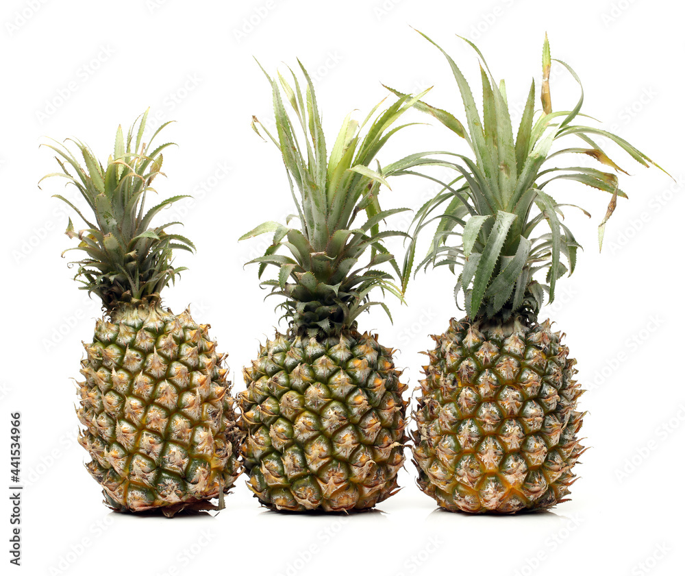 Fototapeta premium pineapple on white background