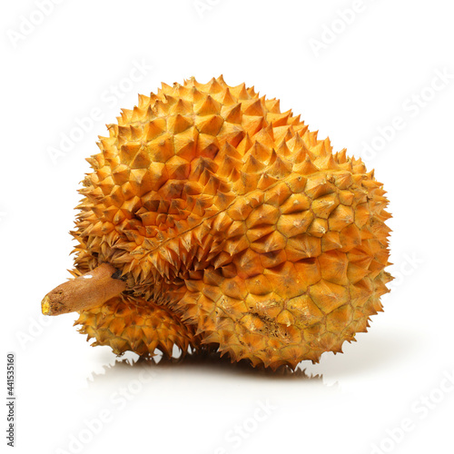 Durian fruit in south east asia  the king of fruits on white background 
