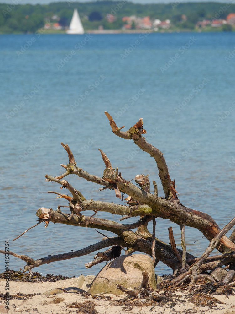 Die Halbiinsel Holnis in der Ostsee