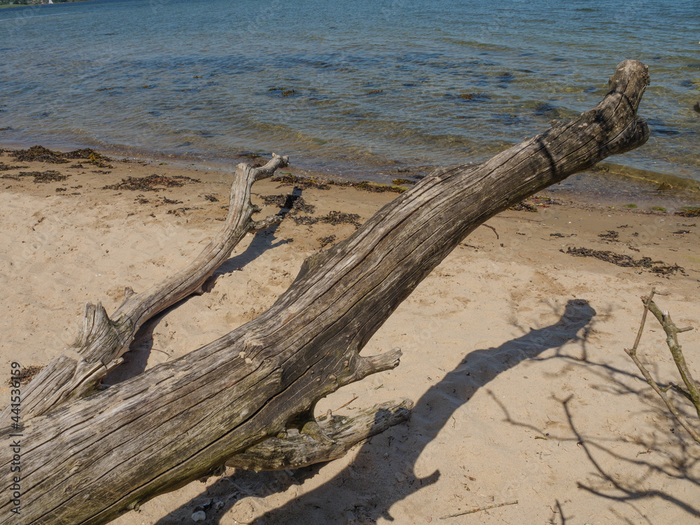 Die Halbinsel Holnis in der Ostsee