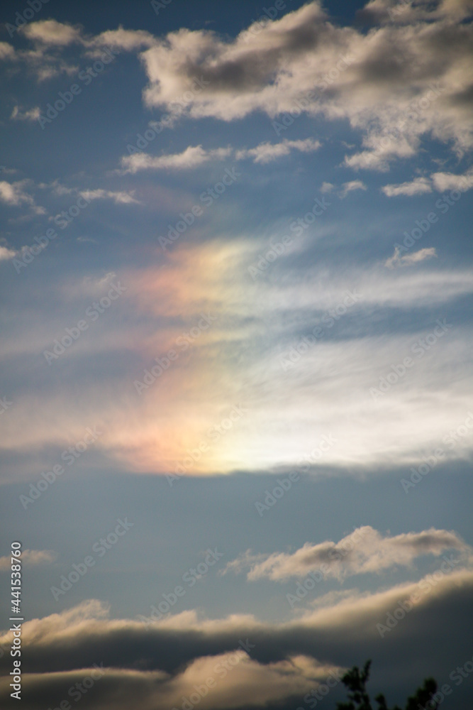 Obraz premium 縦の虹