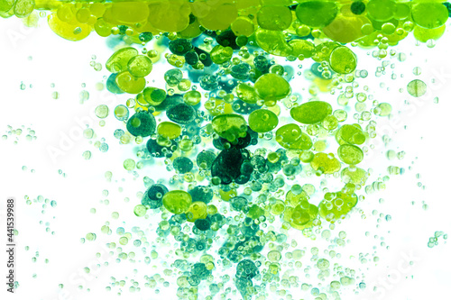 Blue and green paint drops in oil. Macro shot, abstract background with ink and water. Bubbles floating in space and slowly falling. Beautiful acrylic paint. Fluid art, psychedelic abstract wallpaper