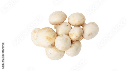 bunch of champignons isolated on white background