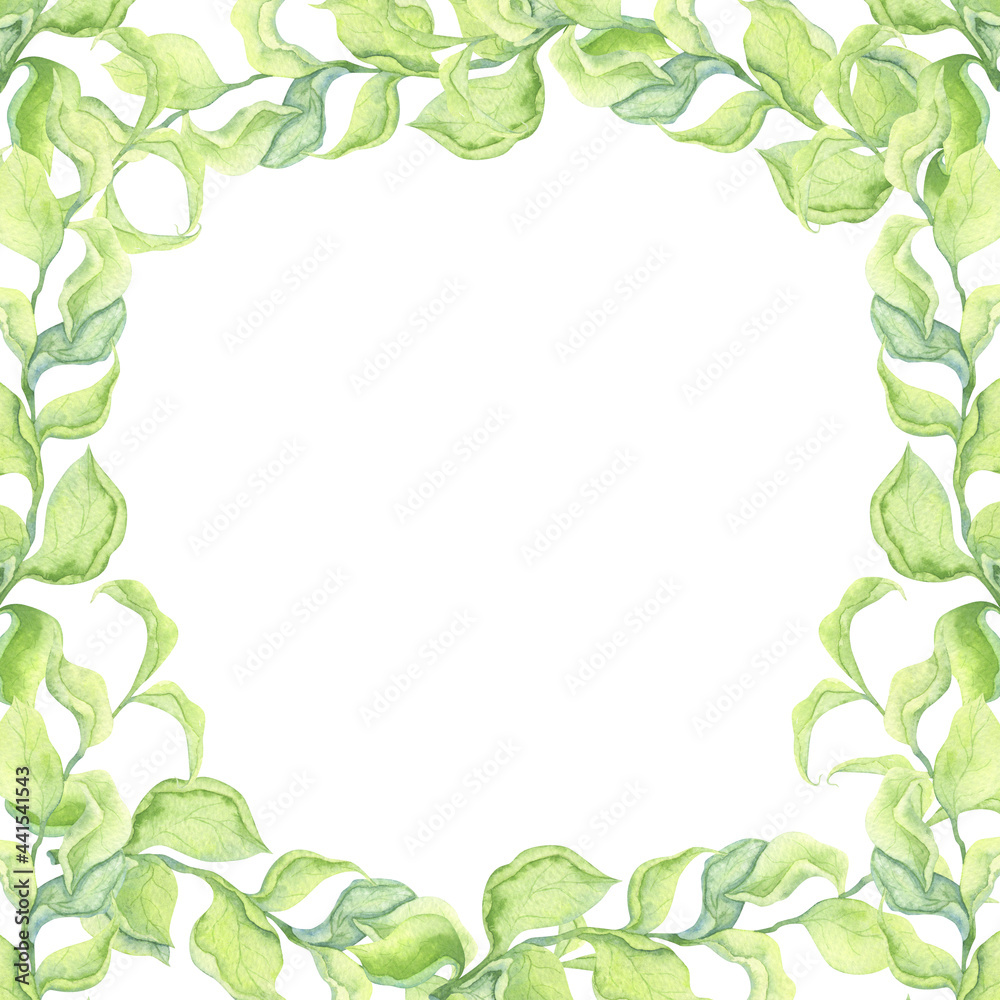 Frame with green leaves for cards and invitations. Frame with green leaves for cards and invitations.