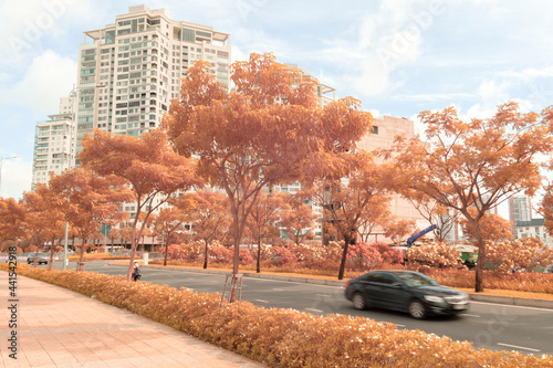 Time: June 25, 2021. Location:Viet Nam. Infrared landscape photo: landscapes in the central area of Ho Chi Minh City.