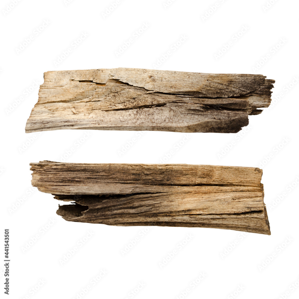 Wooden splinter or piece of bark isolated on white background. Items for mock up, scene creator and other design Wooden splinter or piece of bark isolated on white background. Items for mock up, scene creator and other design