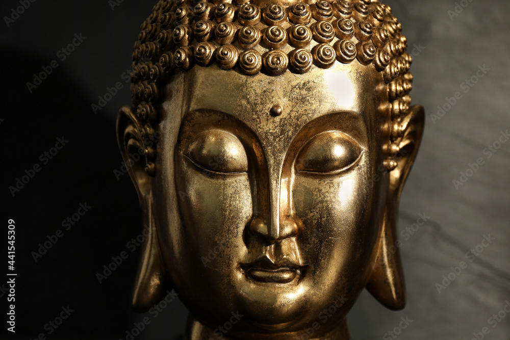 Buddha statue on dark background, closeup view