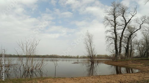 Wallpaper Mural Spring natural landscape filmed in time lapse. Cloudy sky above the still bare trees. Water arrives in the lake - high water. Torontodigital.ca