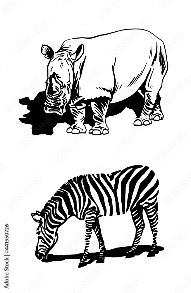 Fototapeta premium Graphical rhino and zebra,African animals isolated