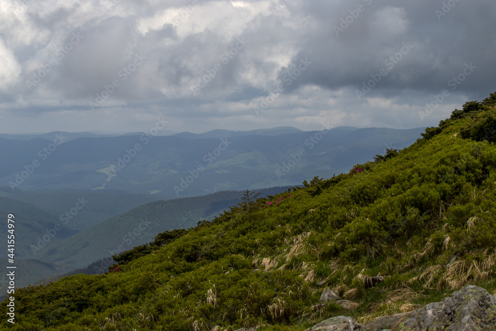 mountains in summer in the clouds