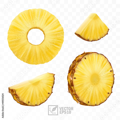 3d realistic isolated vector pineapple set, pineapple circle round pieces and pineapple slices and a half