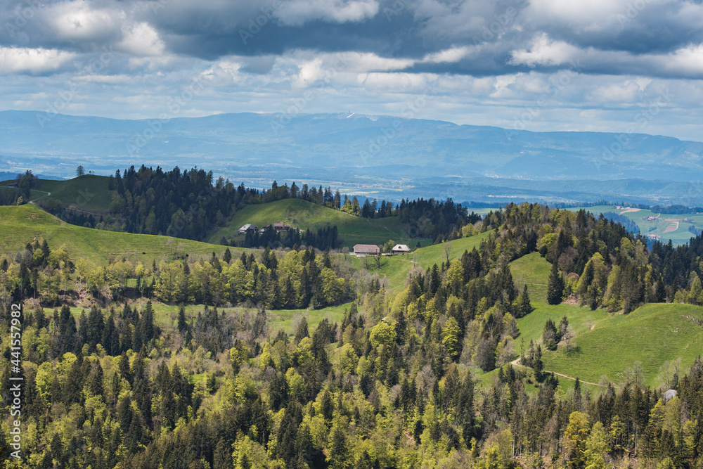 classical Emmental landscape with farm houses in the hills on a spring day