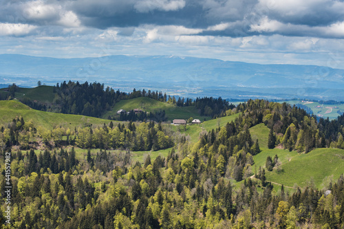 Fototapeta Naklejka Na Ścianę i Meble -  classical Emmental landscape with farm houses in the hills on a spring day