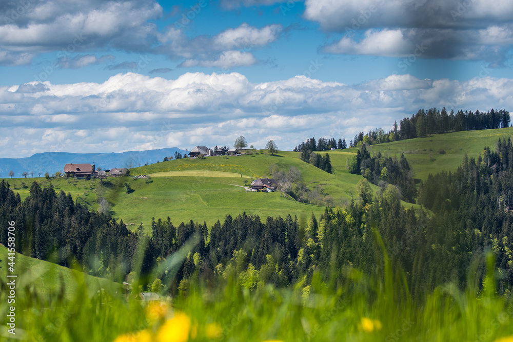 classical Emmental farm hous in the hills on a spring day