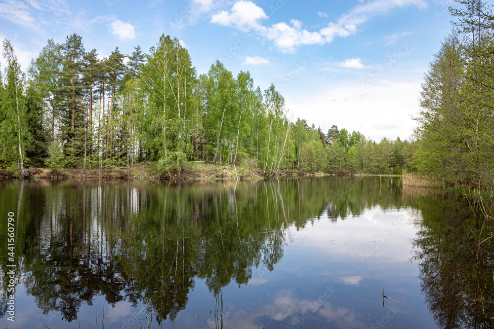 Forest lake view, smooth surface of a lake with clouds reflected, shining level of a forest lake	