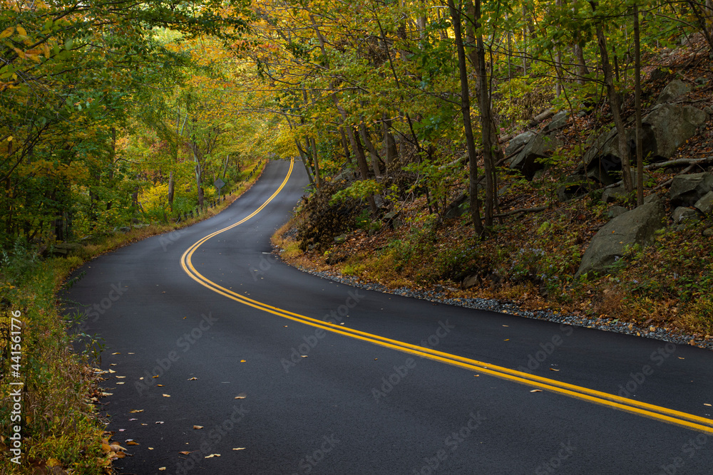 Road in autumn 
