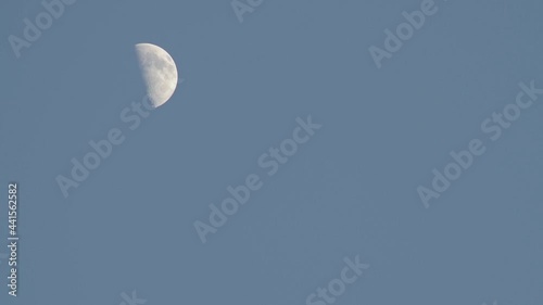 Wallpaper Mural Movement of the half moon in the evening across the clear blue sky on a clear day Torontodigital.ca