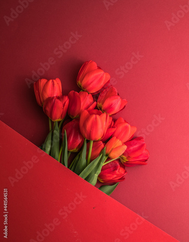 Fototapeta Naklejka Na Ścianę i Meble -  Creative layout made with tulip flowers on bright red  background. Flat lay. Spring minimal concept.