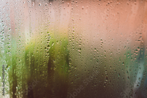 water droplets of humidity condensation on window seen from indoor with backyard bokeh in the background