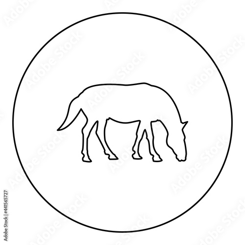 Steed Horse Equestrian Equine Stallion thoroughbred Mustang silhouette in circle round black color vector illustration contour outline style image