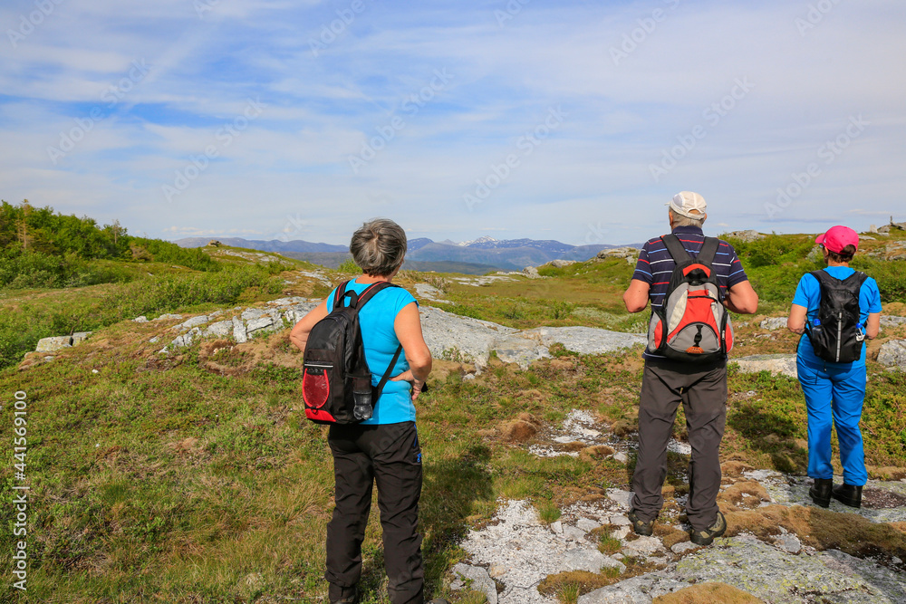 Mountain hike - Mountain range between Velford and Bindal,Helgeland,Nordland county,scandinavia,Europe