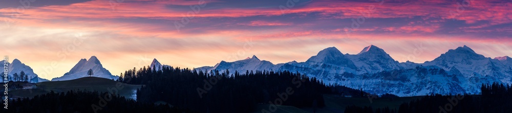 colorful morning sunrise in Emmental with a single tree on a hill in Emmental in front of Schreckhorn