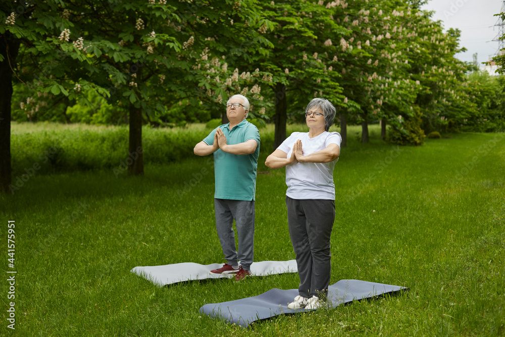 © Studio Romantic - Senior couple doing fitness exercise in quiet tranquil summer park. Retired husband and wife enjoying yoga practice in nature standing on fresh grassy lawn among green trees. Healthy lifestyle concept © Studio Romantic - Senior couple doing fitness exercise in quiet tranquil summer park. Retired husband and wife enjoying yoga practice in nature standing on fresh grassy lawn among green trees. Healthy lifestyle concept