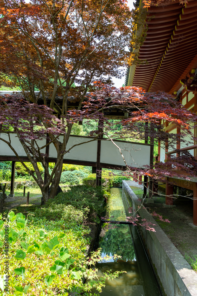 Summer view of Kyuanji temple in Ikeda, Osaka, Japan Summer view of Kyuanji temple in Ikeda, Osaka, Japan