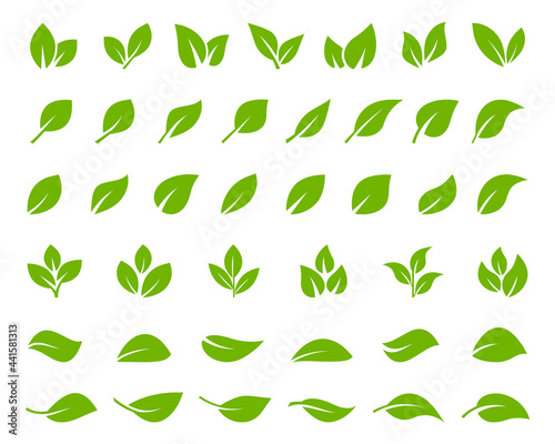 Set of green leaf icons. Leaves of trees and plants. Leaves icon. Collection green leaf. Elements design for natural, eco, bio, vegan labels. Vector illustration.