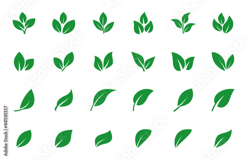 Set of green leaf icons. Leaves of trees and plants. Leaves icon. Collection green leaf. Elements design for natural, eco, bio, vegan labels. Vector illustration.