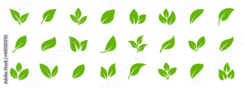 Valokuva Set of green leaf icons