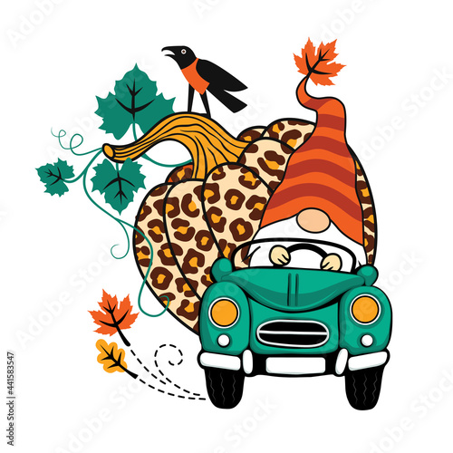 .Large leopard pumpkin, crow and  gnome on a turquoise car. Fall decor. Vector design. Cartoon illustration.