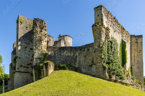 Château médiéval de Rauzan