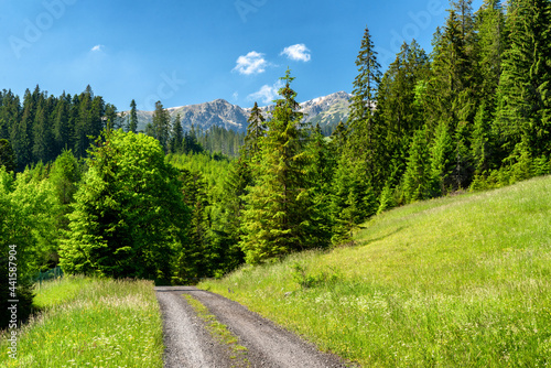 Low Tatras mountains from Janska valley, Slovakia photo