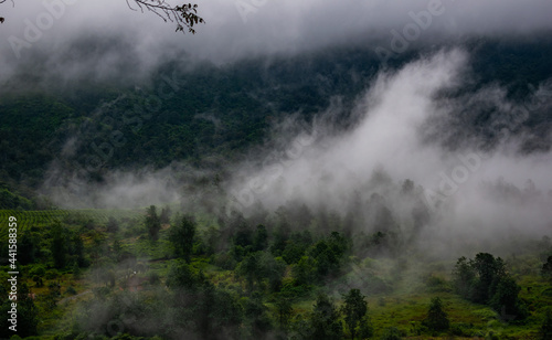 Obraz na płótnie fog in the mountains w salonie