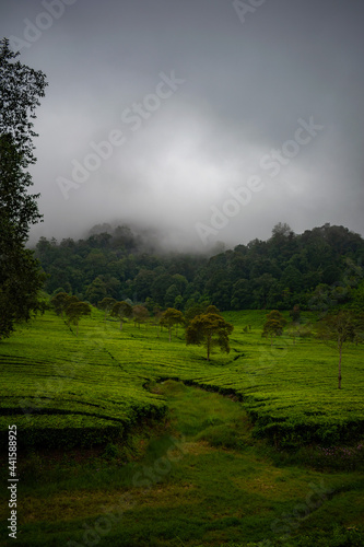 Obraz na płótnie fog in the mountain w salonie