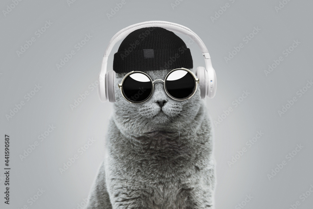 Funny hipster cat with fashionable hat and vintage round sunglasses listens to music in white wireless headphones on gray background. Creative idea concept. Animal style - obrazy, fototapety, plakaty 