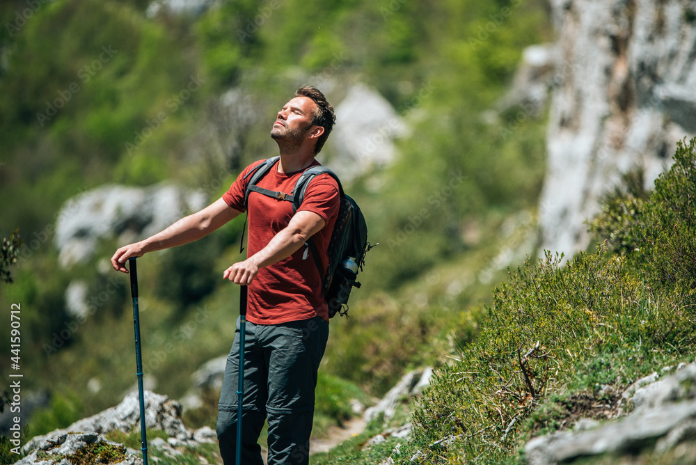 Male hiker walking with trekking poles in mountainous terrain - obrazy, fototapety, plakaty 