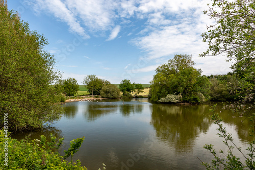 Fototapeta Naklejka Na Ścianę i Meble -  A View over Falmer Pond
